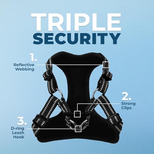 Best Pet Supplies Voyager Adjustable Step-in Flex Breathable Mesh Dog Harness for Small Medium Large Dogs (Black), M