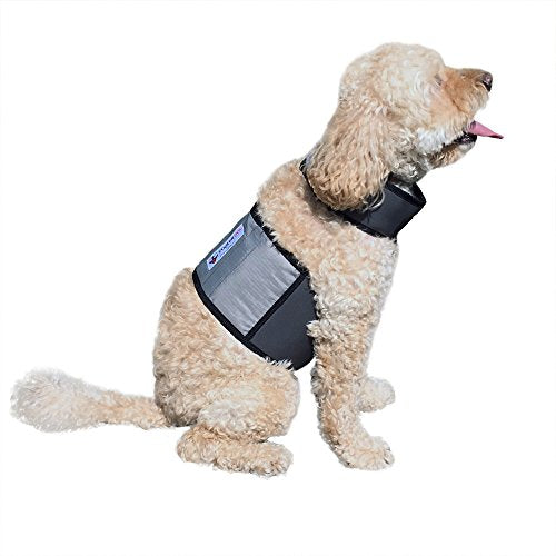 CoolerDog Dog Cooling Vest & Cooling Collar – Ice Vest for Hot Weather Heat Relief, Re-Freezable Pure Water Inserts (Small...