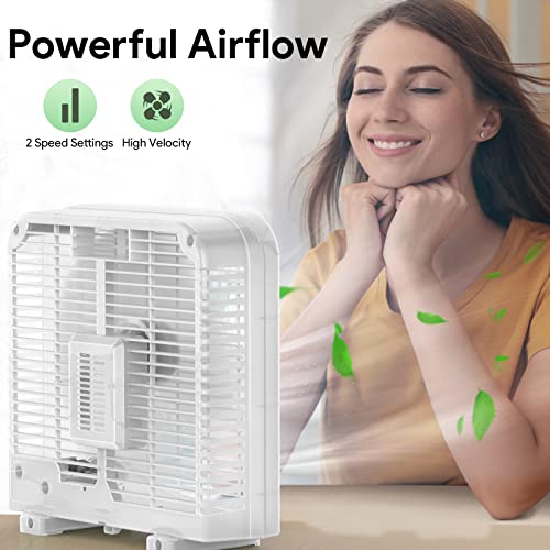 shinic 10" Tabletop Box Fan for Bedroom, 2 Speeds, Quiet Table Fan with Strong Airflow, Energy Efficient Small Box Fan, Po...