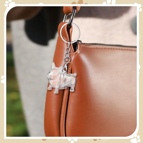 Nosiny 3 Pcs Dog Hair Collector Keychain Charm Memorial Storage Box Plastic Pet Fur Holder Keyring Cute Dog Hair Keepsake ...
