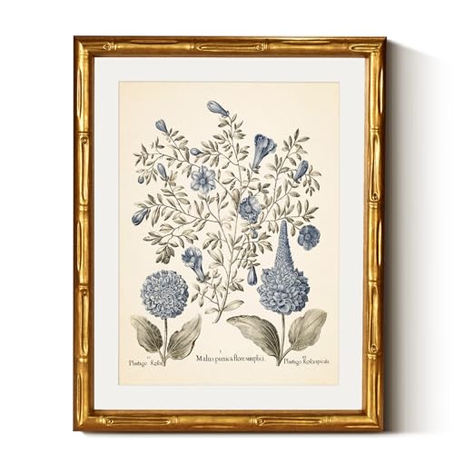 InSimSea Gold Bamboo Framed Canvas Wall Art, Retro Blue Hydrangea Botanical Prints, Antique Flowers Picture Frame with Ma...