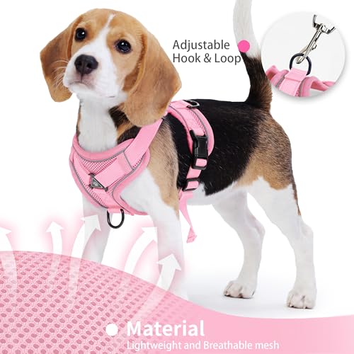 Jolifield No Pull Dog Harness with Leash Set for Small Sized Dog, Reflective Adjustable No Choke Front Clip Cat Vest Harne...