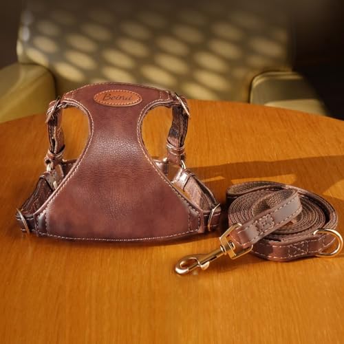 Beirui ‌Stylish PU Leather Dog Harness‌ and Leash Set for Small Dogs, ‌Adjustable Step in Dog Vest Harness with Breathable...