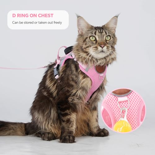 Cat Harness and Leash Set with AirTag Holder: Upgraded Escape Proof Vest with Lead for Small Dog Puppy Large Cat Walking，S...