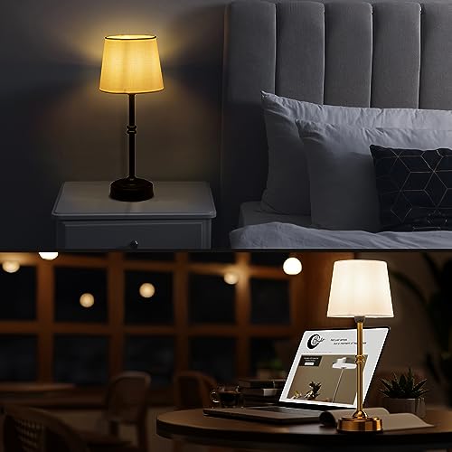 O’Bright Seraph - Cordless LED Table Lamp with Dimmer, Built-in Rechargeable Battery, 3-Level Brightness, Patio Table Lam...