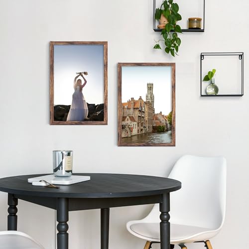 Fisnish 12x16 Picture Frame Brown, Classic Poster Frame for Horizontal or Vertical Wall Mounting, 1 Pack