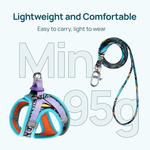 XXS Cat Harness and Leash Set for Kittens & Very Small Cats, Escape Proof Step-in Adjustable Vest, Soft Breathable Reflect...