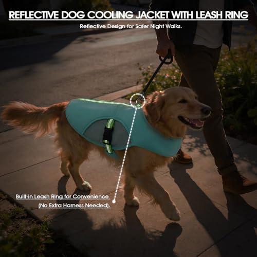 IECOii Dog Cooling Vest with Leash Ring for Summer, Reflective Breathable Dog Cooler Shirt, Adjustable Cooling Jacket Pet ...