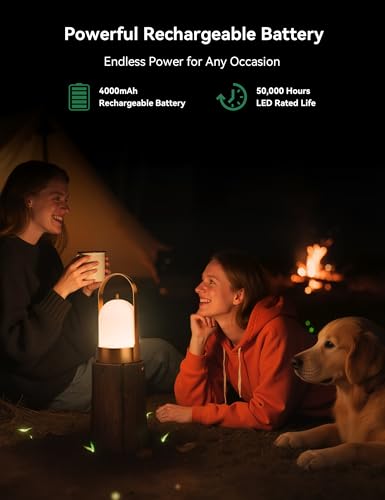 Tubicen Rechargeable Table Lamp Waterproof Outdoor Lantern Portable 4000mAh Battery Operated Camping Lamp Brass 4-Level To...