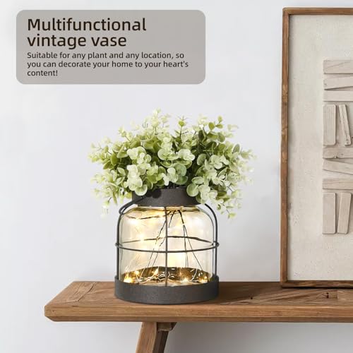Dnnnii Vintage Glass Farmhouse Vase - Handmade Rustic Lantern Planter with Bonus Artificial Flowers & LED Lights (Home Dec...