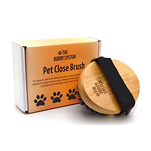The Buddy System Pet Close Brush, Soft Touch Oval Palm Brush - Bamboo Massage Handheld with Soft Boar Bristles and Elastic...