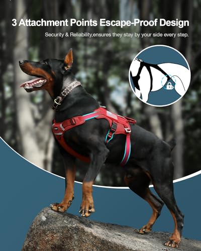 FAYOGOO Service Dog Harness for Medium Dog - Mesh Breathable Dog Harness Escape Proof with Handle - No Pull Military Servi...