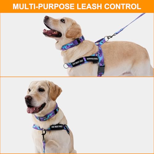 Annchwool No Pull Dog Harness,Heavy Duty Collar & Leash Set-Leash with Double Handle & Car Seatbelt Clip-Easy Control for ...