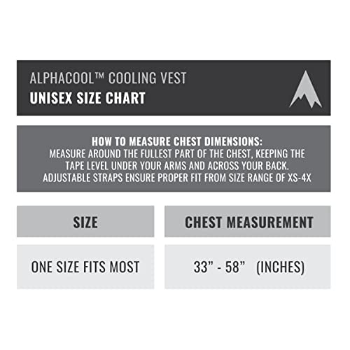 Alphacool Frosty Mesh Ice Vest for Men and Women – Cooling Vest with Ice Packs, 2 Sets – Three Gel Pad Pockets – Adjustabl...