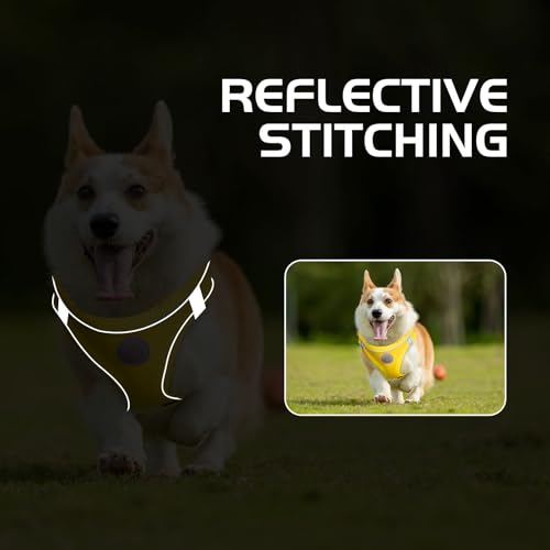 HIHANHAN Soft Mesh Dog Harness and Leash Set, No Pull Puppy Harness and Leash Set, Reflective Step in Harness for Small Me...