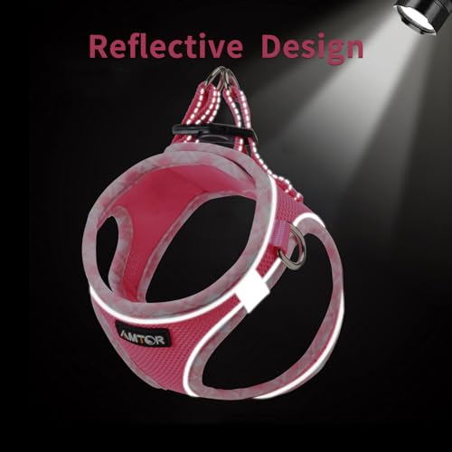 AMTOR Small Dog Harness with Leash Set, No Escape Easy Walk Puppy Harnesses for Training Walking, Step-in Reflective Soft ...