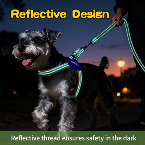Kazazoo No Pull Small Dog Harness and Leash Set, Adjustable Puppy Soft Vest Harness with Breathable Mesh Padded, Reflectiv...