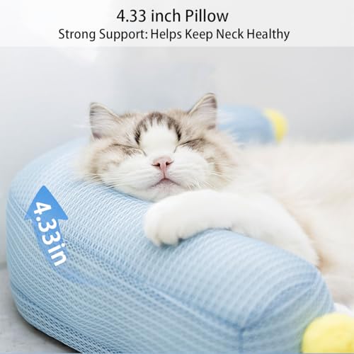 Lunale All-Season Ice Fabric Cat Bed with Cushioned Pillow/Play Ball/Washable Mat for Cats, Kittens & Small Pets (Blue, 2...