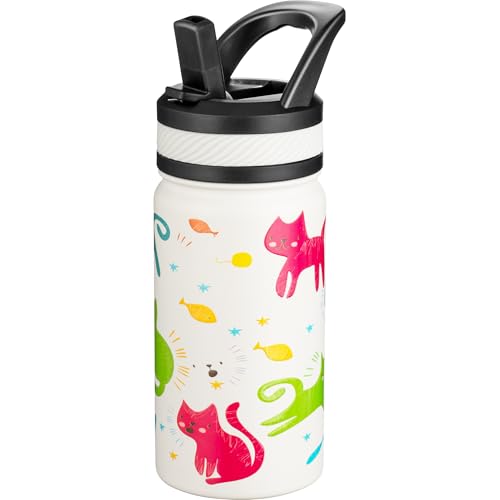 Fanhaw 14 Oz Kids Insulated Water Bottle with Straw - Stainless Steel Double Wall Vacuum Cup, Leakproof, BPA Free, Suitabl...