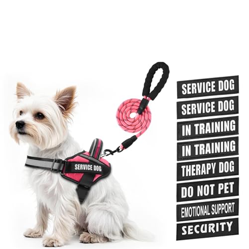 Service Dog Vest Harness and Leash Set, Animire in Training Dog Harness with 10 Dog Patches, Reflective Dog Leash with Sof...