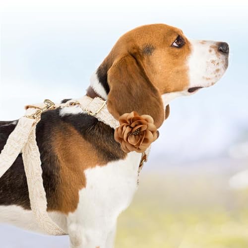 Dog Harness Set Easy Walk No Pull Dog Harness with Handle Girl Leash and Harness for Medium Dogs with Bow & Metal Clasp Ad...