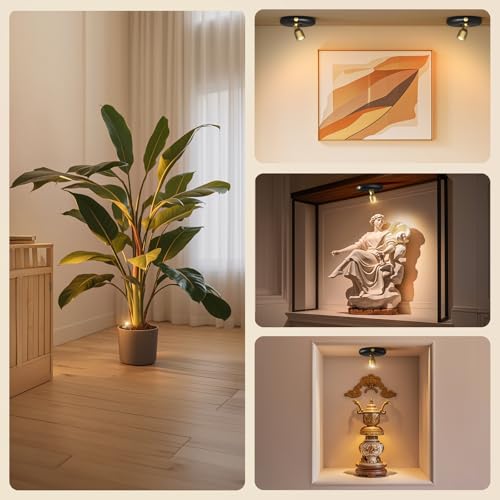 Ler0ktr Rechargeable Battery LED Spotlight Indoor: Wireless Mini Art Accent Spot Lights with Timer Remote - Small Dimmable...
