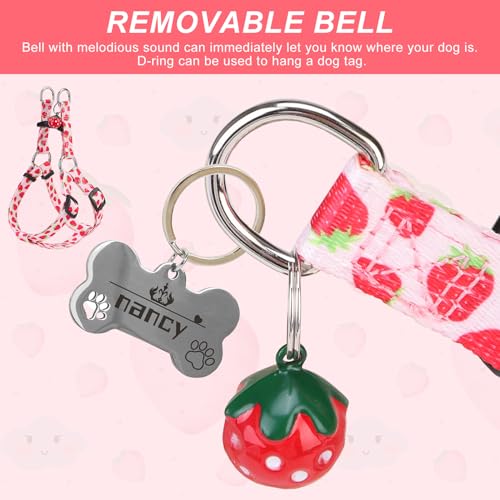 BEAUTYZOO Dog Harness Small Sized Dog Girl, No Pull Dog Harness and Leash Set,Step in Soft Light Puppy Vest, No Choke Heav...