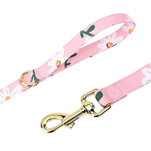 Beirui Cute Girl Dog Collars, Harnesses & Leashes Set - Adjustable Dog Collar and Leash Set with Flower - Soft Mesh Dog Ve...