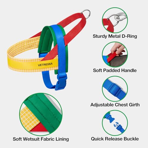 VETRESKA MoMA Dog Harness and Leash Set, Easy Walk Dog Harness for Small Medium Dogs, No Pull Puppy Harness for Walking an...