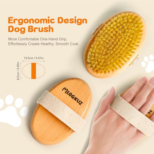 MLQGKUZ Professional Dog Brush Boar Bristle for Short-Haired Dogs - Reduces Shedding, Non-Slip Grip, Gentle Grooming