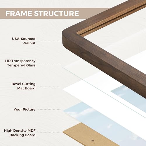 24x30 Picture Frame - Solid Walnut Wood Frames with HD Tempered Glass, Handcrafted Rounded Corner 24x30 Frame Matted to 18...