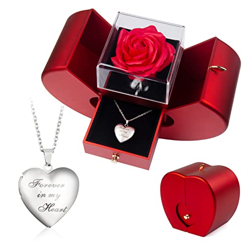 Preserved Real Rose with Forever in My Heart Locket Necklace Custom 2 Photos Cherish These Personalized Red Apple Surprise...