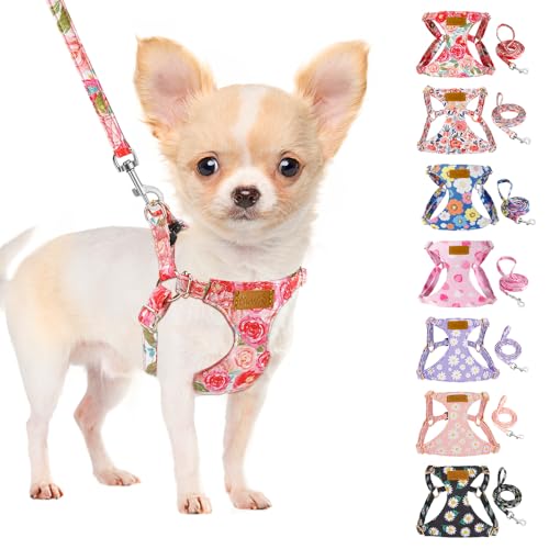 SlowTon Dog Harness Small Sized Dog - Soft XXS Dog Harness and Leash Set No Pull No Chock, Adjustable Lightweight Puppy Ha...