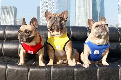 iChoue French Bulldog Summer Cooling Shirt for Dogs UV Sun Protection Vest Sleeveless Stretchy Tank Top English Pug Grey B...