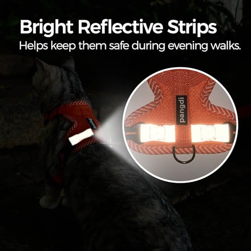 pangdi Cat Harness and Leash Escape Proof Large Kitten Harness Ragdoll Cat Vest for Walking Travel, Orange, L