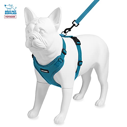 Best Pet Supplies Voyager Step-in Lock Pet Harness w Reflective Pet Leash Combo Set with Neoprene Handle 5ft - Supports Sm...