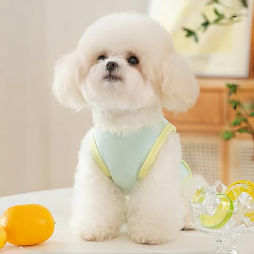 Yaopelky Dog Cooling Vest, Summer Pet T-Shirt, Breathable Quick-Dry Outfit for Dogs and Cats, Blue (Green, Small(3.3-5.5lb))