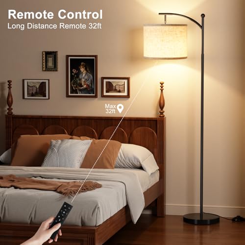 Ambimall 60" Floor Lamp with Remote Control and Stepless Dimmable Bulb, Colors Temperature & Brightness Adjustable, Modern...