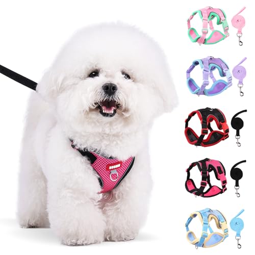 Coppthinktu Dog Harness with Leash Set for Small Sized Dogs Cats, No Pull Dog Harness Soft Mesh Cat Puppy Harness, Adjusta...