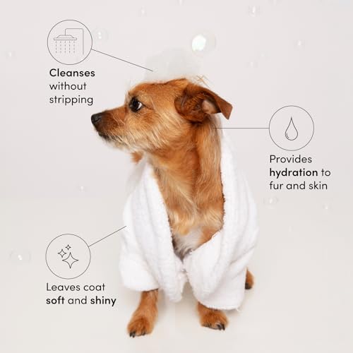 OUAI Fur Bébé Pet Shampoo - Cat & Dog Shampoo for Gentle Cleansing, Hydration & Shine - Vegan & Cruelty-Free Pet Supplies ...