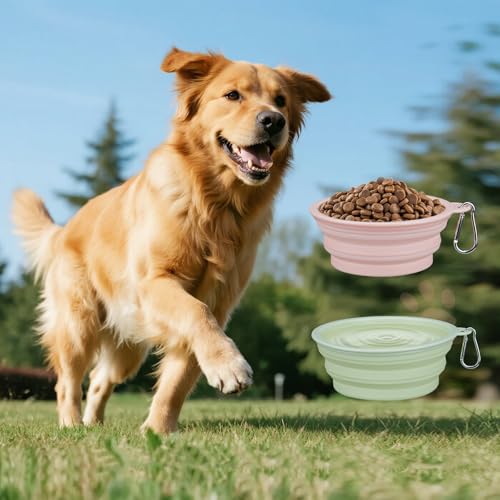 2-Pack, LeeRound Small Medium Collapsible Dog Water Bowl for Travel, Food-Grade Silicone Bowl, Portable Dog Bowl with Hoo...