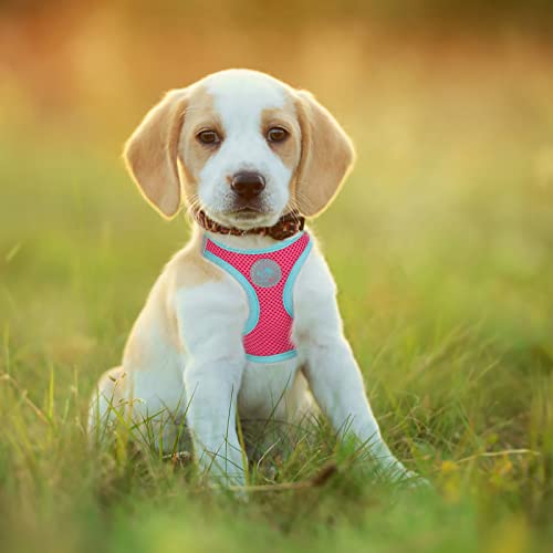 PHOEPET Step-in Dog Harness,Reflective Adjustable Dog Vest Harness, Soft Pet Walking Jacket with 2 Metal Leash Hooks for D...