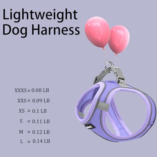 Solmoony Sparkly XXXS Dog Harness and Leash Set, Step in Soft Light Puppy Vest, Breathable Reflective Pet Harness for Walk...