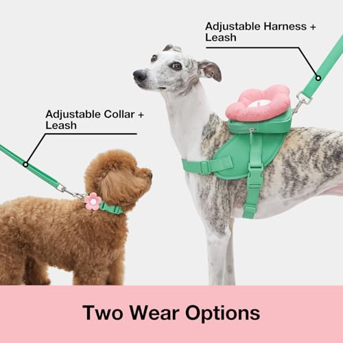 VETRESKA Flora Dog Harness, Leash and Collar Set, No Pull Dog Vest Harness for Walking and Training, Adjustable, Easy Cont...