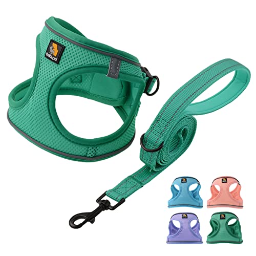BELLA & PAL Small Emerald Dog Harness with Leash Set, No Pull, Step in Design, Reflective, Lightweight Mesh, S