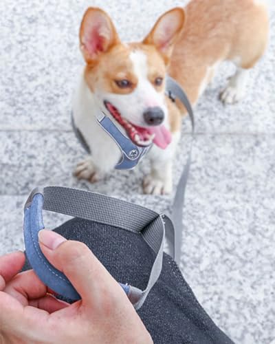 Medium Dog Harness and Leash Set,No Pull Adjustable Step in Soft Mesh Vest Harness,Easy Walk Reflective Pet Harness with P...