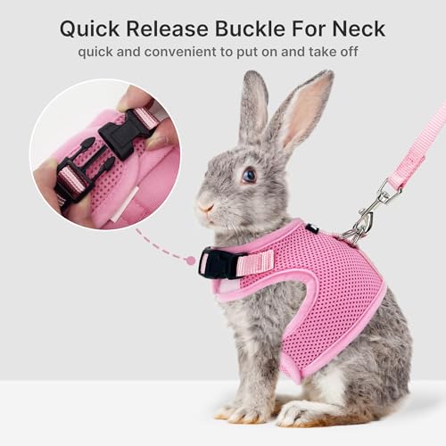 AIITLE Adjustable Rabbit and Leash Set - Lightweight & Portable, Padded Vest with Magic Tape Design, Indoor/Outdoor Use (T...