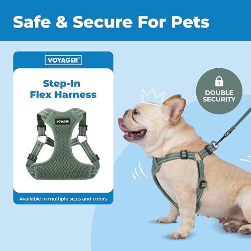 Best Pet Supplies Voyager Adjustable Step-in Flex Breathable Mesh Dog Harness for Small Medium Large Dogs Moss Green, M