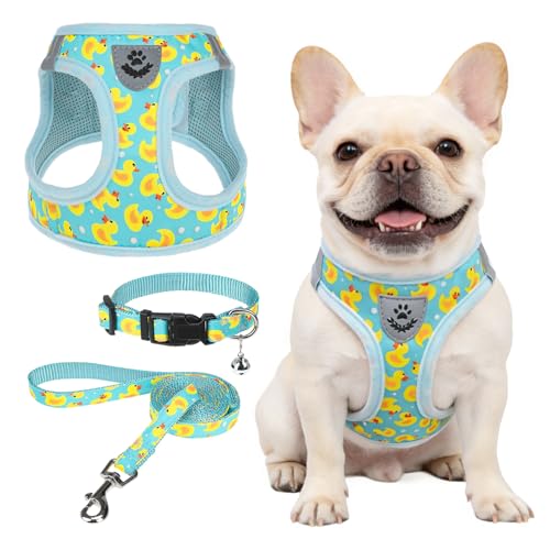 SCENEREAL Small Dog Harness and Leash Collar Set, Step in Soft Light Puppy Vest, Breathable Pet Harness for Small Sized Do...
