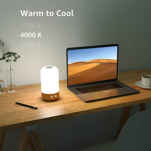 Lepro Table Lamp, LED Touch Lamp for Bedroom, Dimmable Bedside Night Light with Auto-off Timer, 350lm Tunable Soft Warm Wh...
